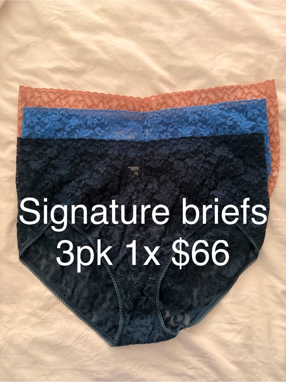 Hanky Panky Signature Lace Briefs 3-Pack - Navy, Blue, Rust